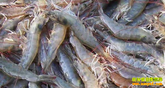 ��Ϻ�����߸߲����½��ĳ� 2017���Ϻ�۸��������