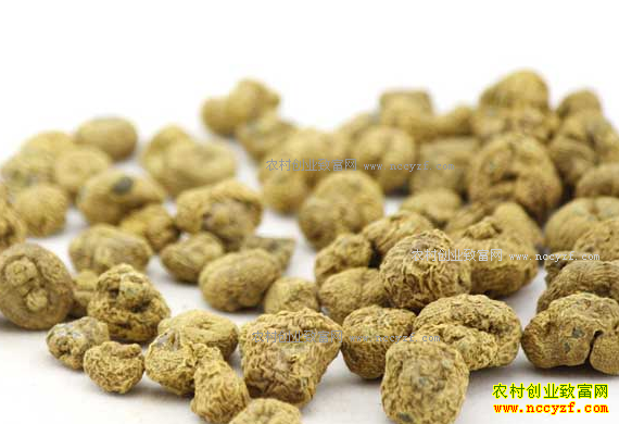 2017��Ԫ���۸�Ԥ�⣺��ҩ��Ԫ���۸��������