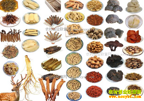 2017����ҩ�ļ۸���������Ԥ��