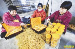 �ӱ����أ���ֲ����ݳ�ũ���¸�����Ŀ