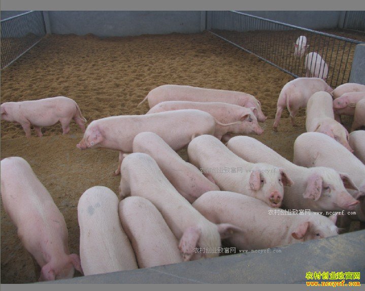 ɽ���������ຣ��ҩι����������׬20��