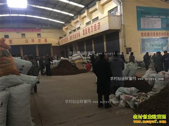 2017������۸�Ԥ�⣺���ں�����۸��������