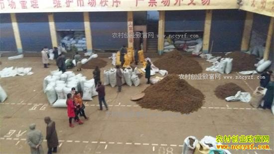 2017������۸�Ԥ�⣺���ں�����۸��������