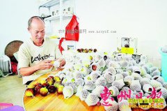 �㶫��������ΰ�����紴ҵ��ֲ�޻�����ũ�¸�