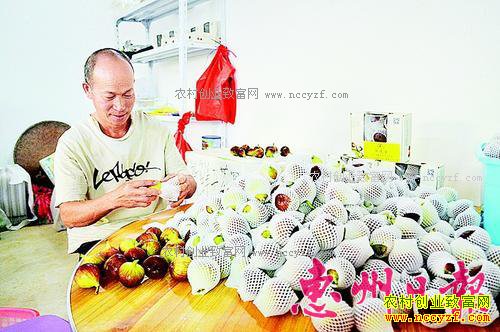 �㶫��������ΰ�����紴ҵ��ֲ�޻�����ũ�¸�