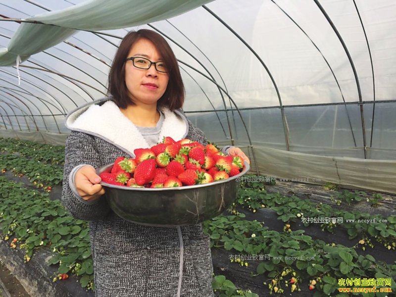 ���ճ����ܺ����������򸾴����ֲ�ݮֱ���ǰͿ�