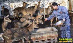 �ӱ���ǿ�أ���ֳ÷��¹��ũ���¸�����Ŀ