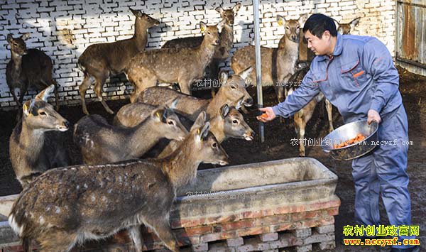 �ӱ���ǿ�أ���ֳ÷��¹��ũ���¸�����Ŀ