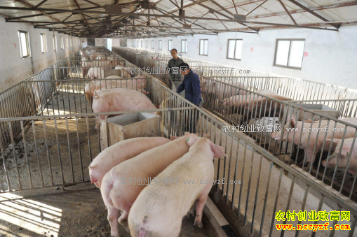 2017��1��22��ȫ�����������۸��������