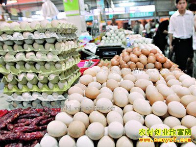 ����®���غ�������̬������������׬Ǯ