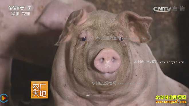 [ũ�����]��Ҳס�϶���¥ ����½�����涫������������