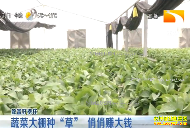 �¸��ð��������������������������׬��Ǯ