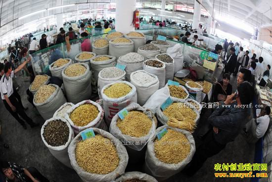 2017����ҩ�ļ۸�����Ԥ�⣺���겿��ҩ�ļ۸����߸�