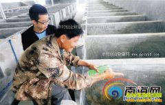 ���϶������ֺ�����ֳ������ũ�¸�