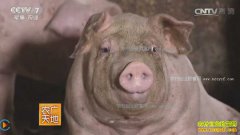 [ũ�����]��Ҳס�϶���¥ ����½�����涫������������