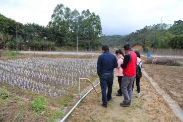 �������ݡ�ľ����������������ֲľ��������ͬ�¸�