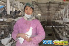 �Ĵ�����80��ƽ��ٻ��������Ӵ�ҵ�¸�