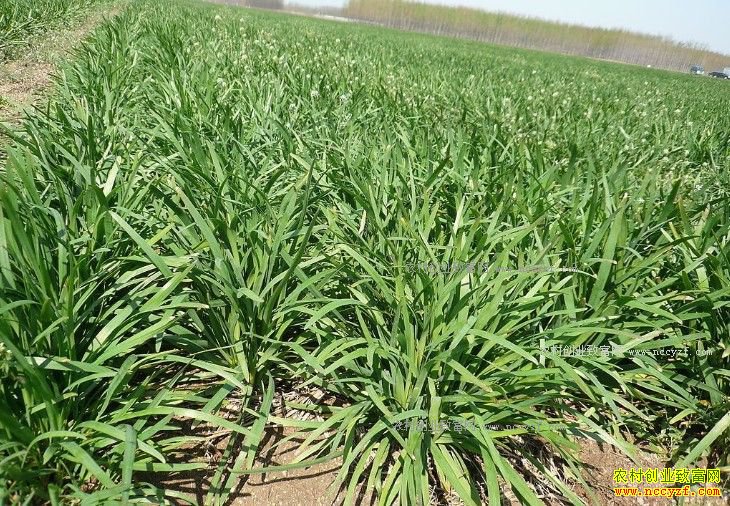 ���¾²˼۸����飺�����²˼۸���� �Ϸ��²˼۸���˿����