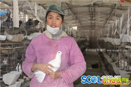 �Ĵ�����80��ƽ��ٻ��������Ӵ�ҵ�¸�