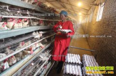 ɽ������Ƚ����������ĵ�����ֳ�¸���