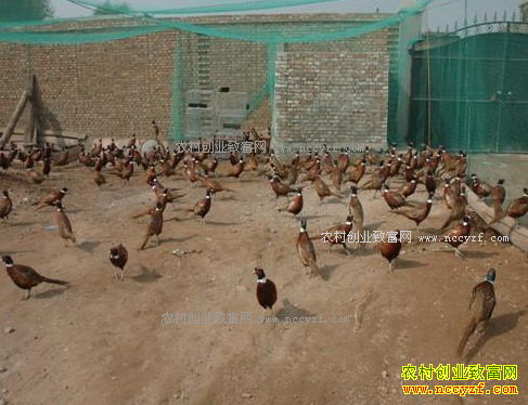 �����Ͳ���ѧ���ʲ�����ɽ�������볬4��