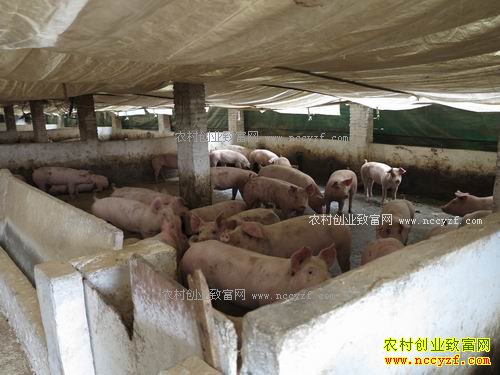 ���������������ְ���������������ũ�¸�