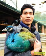 ����ʮ�����ΰ���紴ҵ����ȸÿֻ�ۼ�700Ԫ