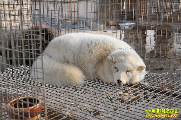 �½�������80���ѧ�����ΰ��ֳ����������40��Ԫ