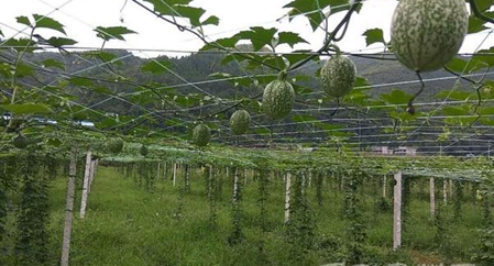 ���� �������������� �������Ԫ����