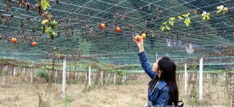 ���� �������������� �������Ԫ����