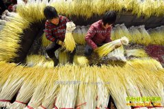 ɽ����Դ�أ���ֲ��Ƴ�ũ���¸�����Ŀ