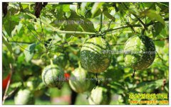 ���ݽ�����������ֲ���䣨���ϣ�Ķ��Ч��5000��Ԫ