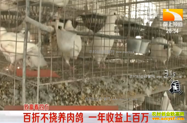 �¸��ð��������۲�������� һ�������ϰ���