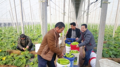 ɽ���Ͳ��лʳ�����ֲ�����߲˳�ũ���¸�����Ŀ