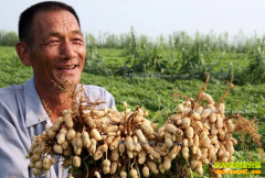 ũ��Ʒ�ӹ�Ч�����������������ӹ��������ܶ�׬Ǯ