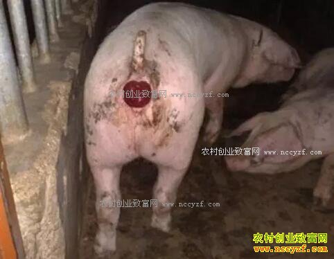 50�������ҵ��������Ѹ���ʲôԭ�������������Ѹأ�