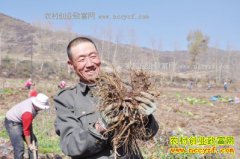 �ຣ��ͨ�ض���������ֲ�����ũ����ƶ�¸�����Ŀ