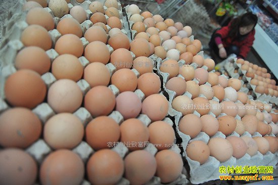 2017�꼦���۸�Ԥ�⣺���ڼ����۸��½� ��һ�󼦵����Ǽ�