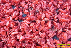 ɽ���Ƕ���Ǯһ�2017��10��20������ɽ���Ǽ۸�����