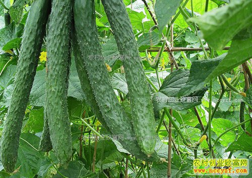 ��������ů��ƹϴ������м۸񷭱�