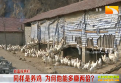 �¸��ð���������ʮ����������ֳ�ڹǼ��ܶ�׬����Ǯ