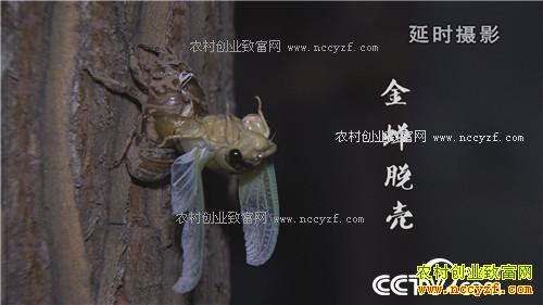 �����������´�