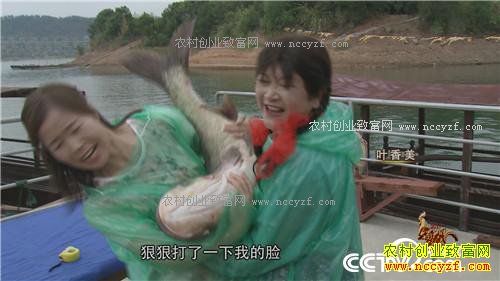 �����������´�