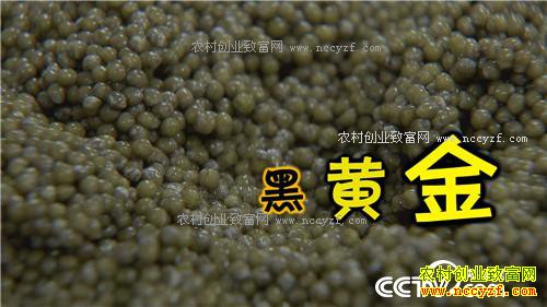 �����������´�