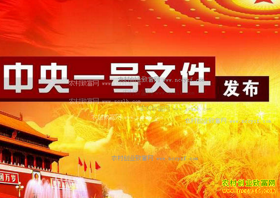 ����ũ����ô�ɣ�ר�����2017������һ���ļ�������