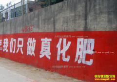 ���������ػư�ǽ���桰�����Ƹ�