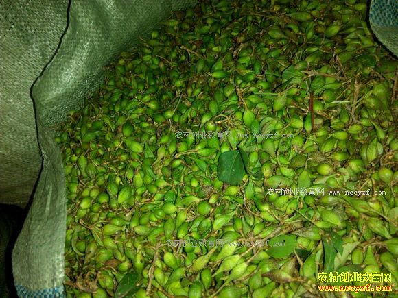 2017�����̣����̣��۸�����Ԥ��