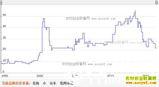 ��ֲ������׬Ǯ��2017�����Ǽ۸�Ԥ�⼰��ֲǰ������