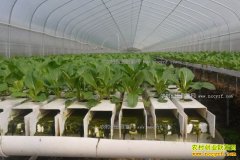 �㽭��������ɭӪ��Һ���߲˴����������