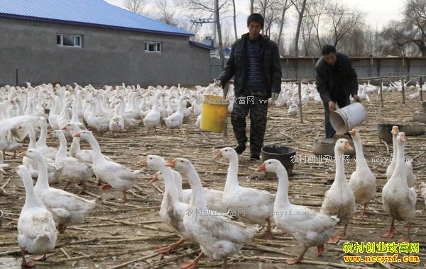 �ӱ��ȷ�����չ�����ũ����ƶ�¸�����Ŀ